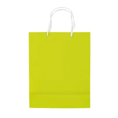 Papierowa torba średnia kolor jasnozielony (LT91512-N0032)