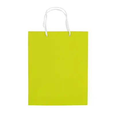 Papierowa torba średnia kolor jasnozielony (LT91512-N0032)