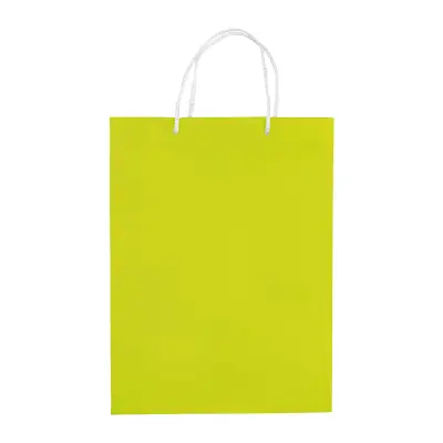 Papierowa torba duża kolor jasnozielony (LT91513-N0032)