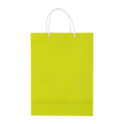 Papierowa torba duża kolor jasnozielony (LT91513-N0032)