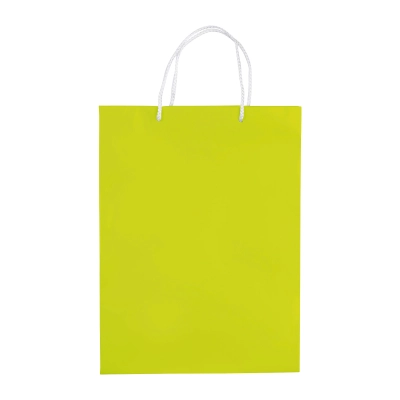 Papierowa torba duża kolor jasnozielony (LT91513-N0032)