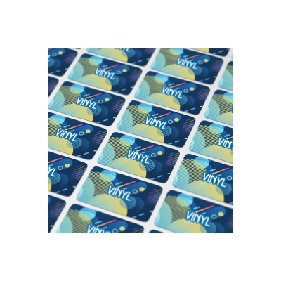 Vinyl Sticker Prostokątny 30x15mm kolor transparentny (LT99143-N0004)