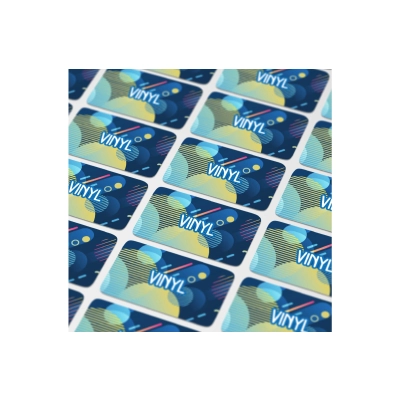 Vinyl Sticker Prostokątny 50x20mm kolor transparentny (LT99145-N0004)