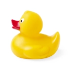 Duck WHITE Duck WHITE