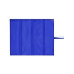 Cushion BLUE