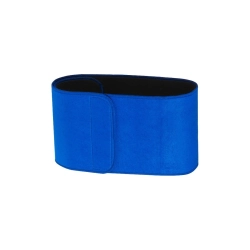 Back Support Belt BLUE