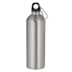 Bottle SILVER