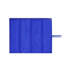 Cushion BLUE
