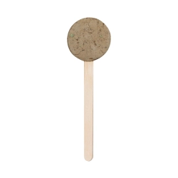 Seed Lollipop NATURAL
