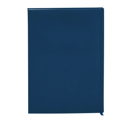 Diary BLUE