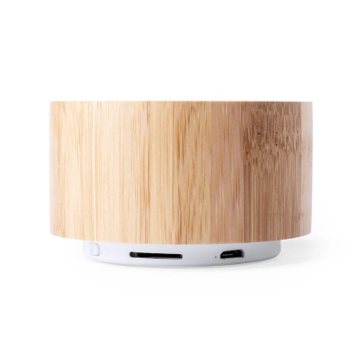 Speaker