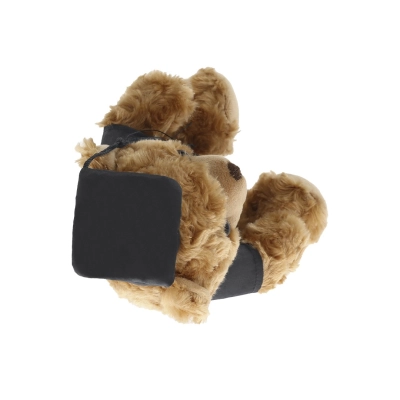 Teddy BLACK