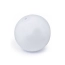 Beach Ball WHITE