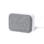 Speaker GREY